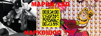 шишки Изобильный