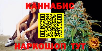 шишки Изобильный