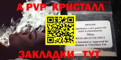 шишки Изобильный