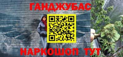 шишки Изобильный